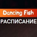 DancingFish_расписание